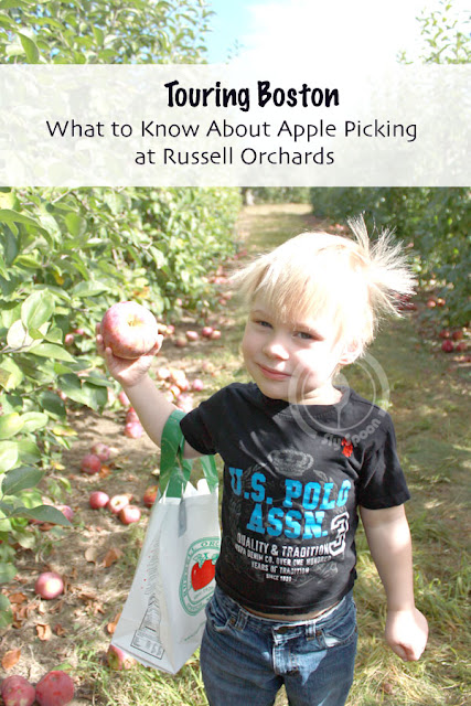 What to Know About Apple Picking at Russell Orchards
