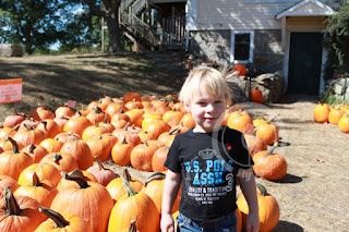 standing by pumpkins in Russell Orchards