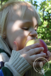 Eating an apple at Tougas Farm