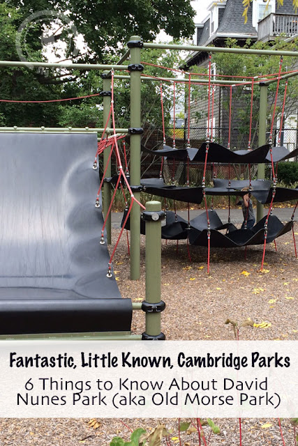 Fantastic, Little Known, Cambridge Parks - 6 Things to Know About David Nunes Park (aka Old Morse Park)