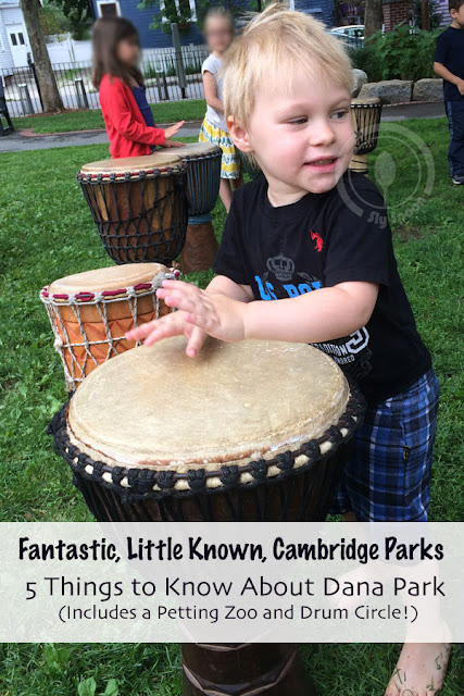 Fantastic, Little Known, Cambridge Parks - 5 Things to Know About Dana Park (Includes a Petting Zoo and Drum Circle!)