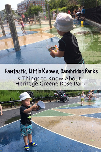 Fantastic, Little Known, Cambridge Parks - 5 Things to Know About Heritage Rose Park