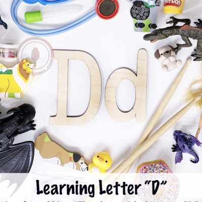 100 Letter D Objects