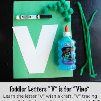 Vine Letter V Craft Idea