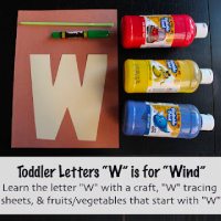 Wind Letter W Craft