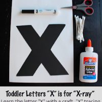 X ray Letter X Craft