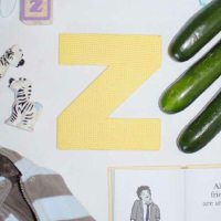 35 Letter Z Objects