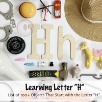 100 Letter H Objects