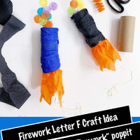 Firework Craft Idea