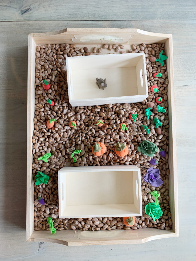 Letter G Activity Idea Garden Sensory Bin