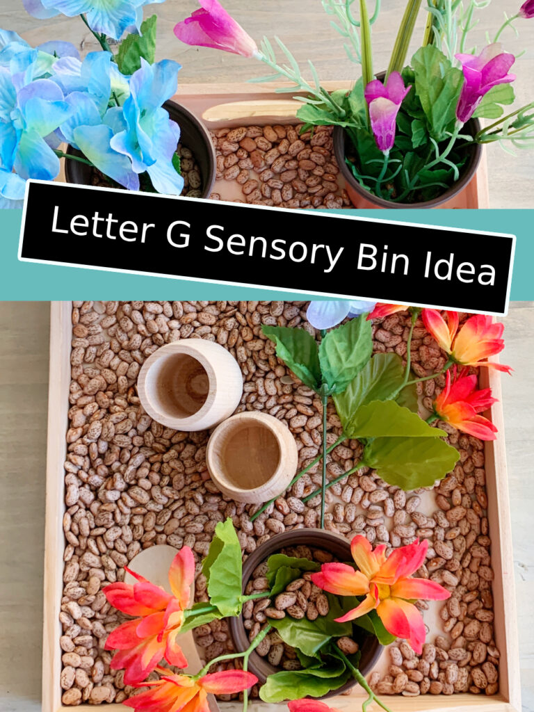 Letter G Activity Idea Garden Sensory Bin