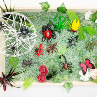 Letter I Insect Sensory Bin idea