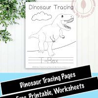 Dinosaur Themed Drawing / Pencil Control Line Tracing Worksheets