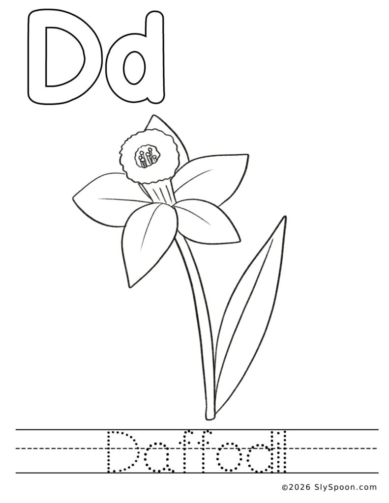 St. Patrick’s Day letter D color and trace worksheet with a daffodil picture to color and the word daffodil to trace
