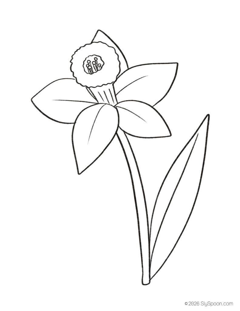 St. Patrick’s Day daffodil coloring page for kids, free printable holiday worksheet for preschool and kindergarten