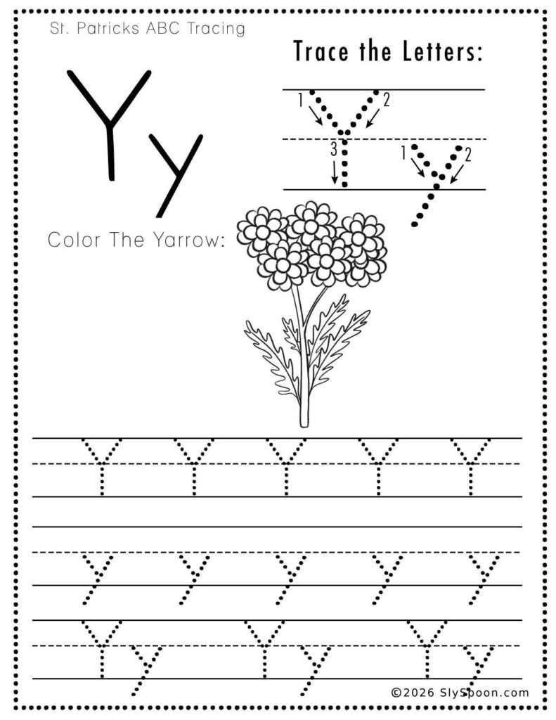 St. Patrick’s Day letter Y tracing worksheet where kids trace uppercase and lowercase Y letters, with a yarrow flower picture to color