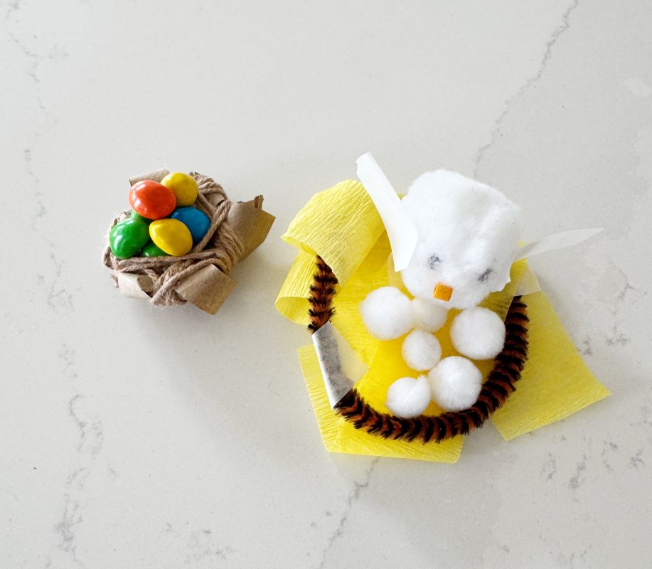 Letter N STEM Nest making activity, using basic craft supplies