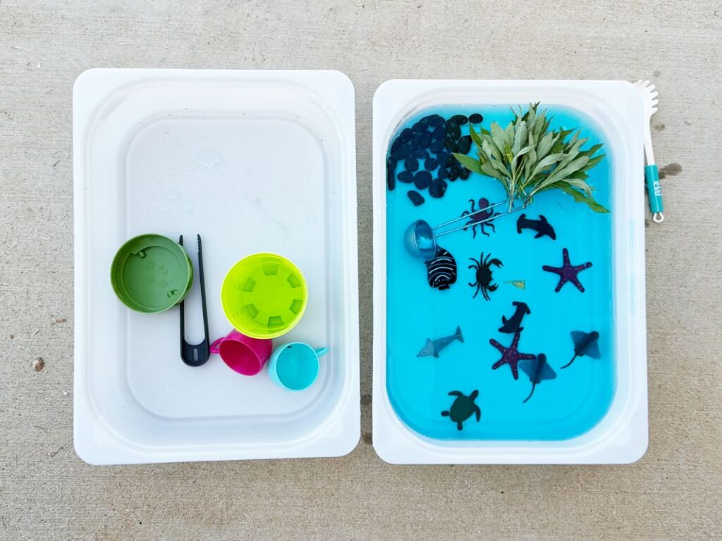 Letter O is for Ocean Sensory Bin Sensory water play with sea animals, rocks and plants