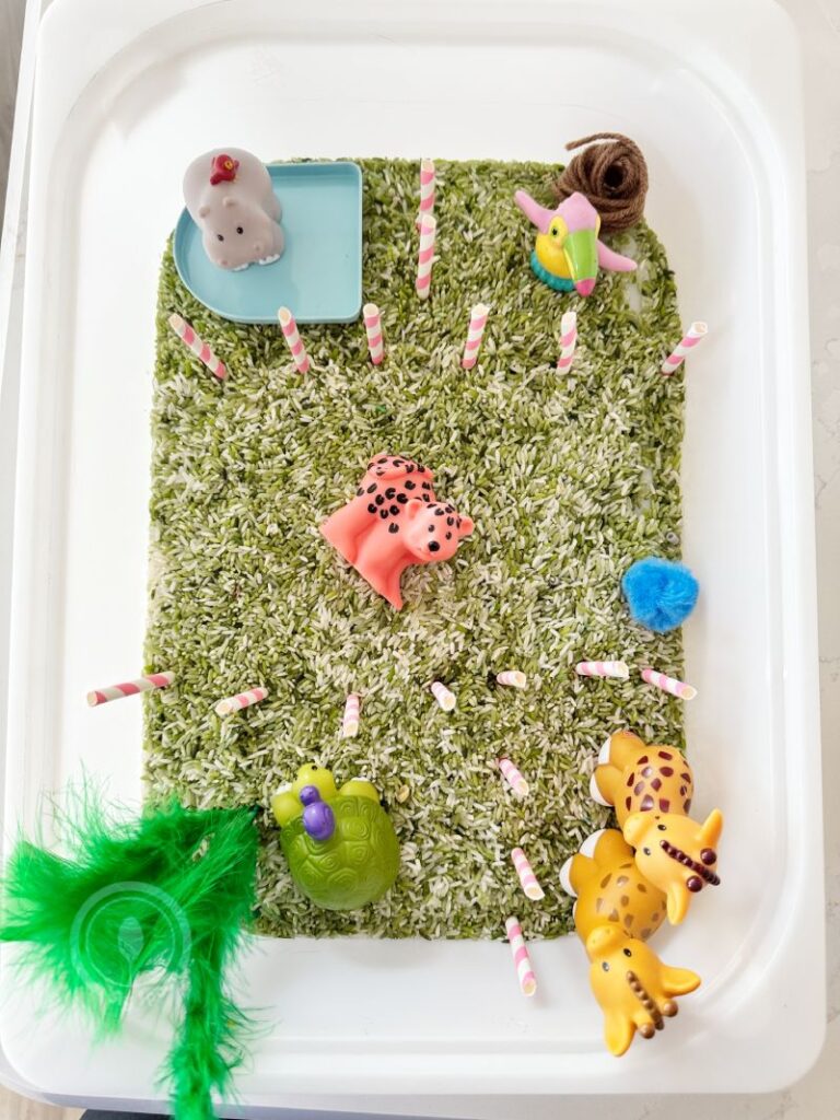 Letter Z is for Zoo Sensory Bin idea for preschoolers and kindergarteners learning Letter Z