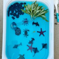 Letter O Ocean Sensory Bin