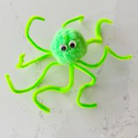 Letter O Octopus Craft