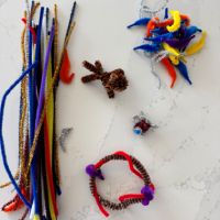 Pom Pom Pet Craft