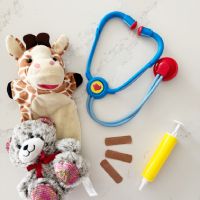 Letter V Vet Imaginative Play