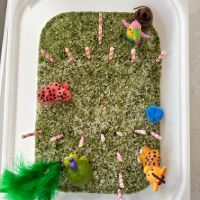 Letter Z Zoo Sensory Bin Activity