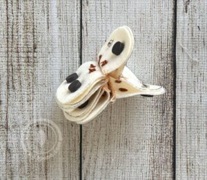 magnets holding the apple core slices together